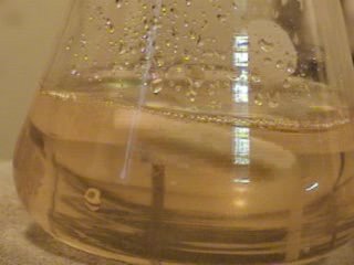 Macroscopic Inverse Faraday Effect?