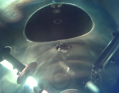 Fusor innards from above