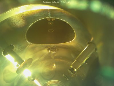 the grid cam I have all the time.  Ion grid on right, faraday_b on the left with light behind it, main grid in sidearm.