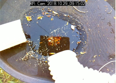 Still picture taken this morning - without getting off the couch. (for noobs, click the pic for the big version)