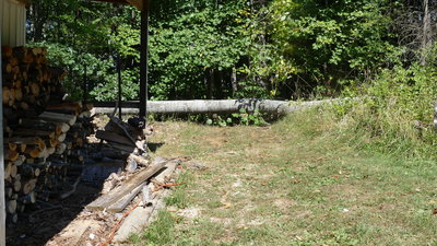 For scale - I'll have to cut a path for my tractor at least....